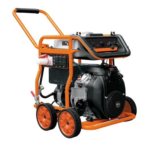 [7506240644736] GENERATRICE GAS 12KW TRUPER 14359